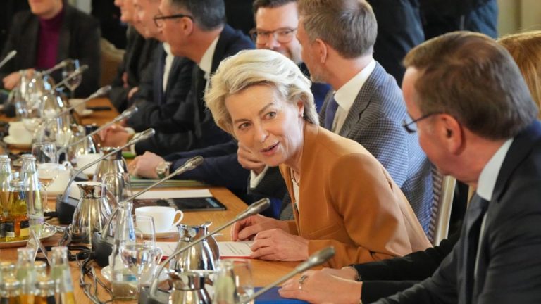 Germania critică declarațiile Ursulei von der Leyen privind trimiterea de trupe în Ucraina